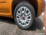  Fiat  Panda FIAT  / 2011 / 5P / BERLINA 1.2 69CV E6D-TEMP EASY #19