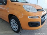  Fiat  Panda FIAT  / 2011 / 5P / BERLINA 1.2 69CV E6D-TEMP EASY #26