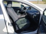  Lexus  NX LEXUS  / 2017 / 5P / todoterreno 2.5 300h Premium 2WD #6
