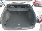  Volkswagen  Golf  VIII Variant R-Line 2.0 TDI 150CV E6d #8