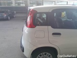  Fiat  Panda FIAT  2016 5P BERLINA 1.3 MJT 95CV SeS E6 EASY #31