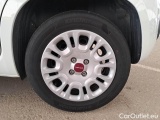  Fiat  Panda FIAT  / 2011 / 5P / BERLINA 1.0 70CV SeS HYBRID #19