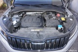  Skoda  Kodiaq  Sportline 4x4 2.0 TDI 110KW AT7 E6d #15