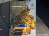  Skoda  Fabia  (PJ3) (2021)  1.0 TSI 81 Ambition AT #15