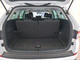  Skoda  Kodiaq  Business 2.0 TDI 150CV BVA7 E6d #10
