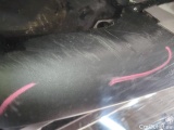  Ford  Focus TURNIER 2.0 ECOBLUE START-STOPP-SYSTEM AUT.  28 #19