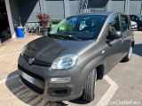  Fiat  Panda 2016 Benzina Panda 1.2 Easy s&s 69cv my19 Manual Petrol  1 #2