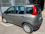  Fiat  Panda 2016 Benzina Panda 1.2 Easy s&s 69cv my19 Manual Petrol  1 #3