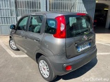  Fiat  Panda 2016 Benzina Panda 1.2 Easy s&s 69cv my19 Manual Petrol  1 #4