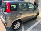  Fiat  Panda 2016 Benzina Panda 1.2 Easy s&s 69cv my19 Manual Petrol  1 #6