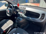 Fiat  Panda 2016 Benzina Panda 1.2 Easy s&s 69cv my19 Manual Petrol  1 #7