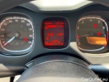 Fiat  Panda 2016 Benzina Panda 1.2 Easy s&s 69cv my19 Manual Petrol  1 #12