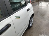  Fiat  Panda III 2021 Panda 1.0 firefly hybrid s&s 70cv Manual Hybrid  39 #20