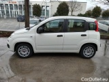  Fiat  Panda III 2021 Panda 1.0 firefly hybrid s&s 70cv Manual Hybrid  39 #44