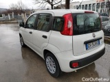  Fiat  Panda III 2021 Panda 1.0 firefly hybrid s&s 70cv Manual Hybrid  39 #45