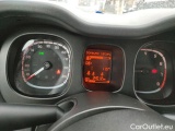  Fiat  Panda III 2021 Panda 1.0 firefly hybrid s&s 70cv Manual Hybrid  39 #53
