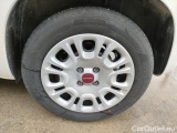  Fiat  Panda III 2021 Panda 1.0 firefly hybrid s&s 70cv Manual Hybrid  39 #70