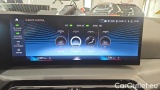  Bmw  Serie 3 320d xDrive Touring Automatic #14