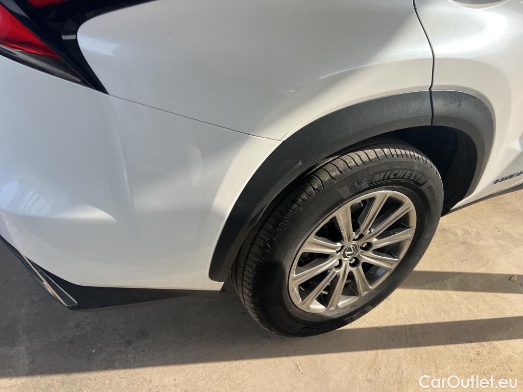  Lexus  NX LEXUS  / 2017 / 5P / todoterreno 2.5 300h Business Navigation 2WD #22