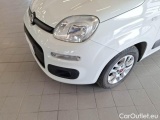  Fiat  Panda FIAT  / 2011 / 5P / BERLINA 1.2 69CV E6D-TEMP LOUNGE #22
