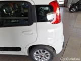  Fiat  Panda FIAT  / 2011 / 5P / BERLINA 1.2 69CV E6D-TEMP LOUNGE #69