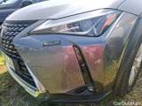 Lexus  UX 250H 2WD  64 #33