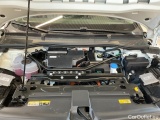  Skoda  ENYAQ iV 80 Climate Plus 360-Kamera #13