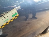  Ford  Kuga - #21