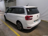  Citroen  C4 Grand Picasso /Spacetourer Business + 1.5 BlueHDi 130CV BVA8 E6d #2