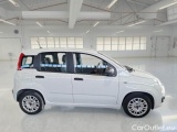  Fiat  Panda FIAT  / 2011 / 5P / BERLINA 1.0 FIREFLY 70CV SeS HYBRID #7
