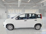  Fiat  Panda FIAT  / 2011 / 5P / BERLINA 1.0 FIREFLY 70CV SeS HYBRID #8