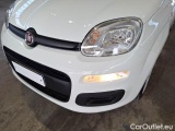  Fiat  Panda FIAT  / 2011 / 5P / BERLINA 1.0 FIREFLY 70CV SeS HYBRID #24