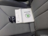  Skoda  ENYAQ iV 80x - Automatic Electric  38 #29