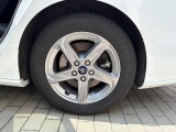  Ford  Focus  Turnier Vignale 2.0 EcoBlue 110KW MT6 E6dT #44