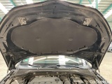  Skoda  Octavia  Lim. First Edition 2.0 TDI 110KW AT7 E6dT #16