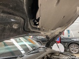  Skoda  Octavia  Lim. First Edition 2.0 TDI 110KW AT7 E6dT #17