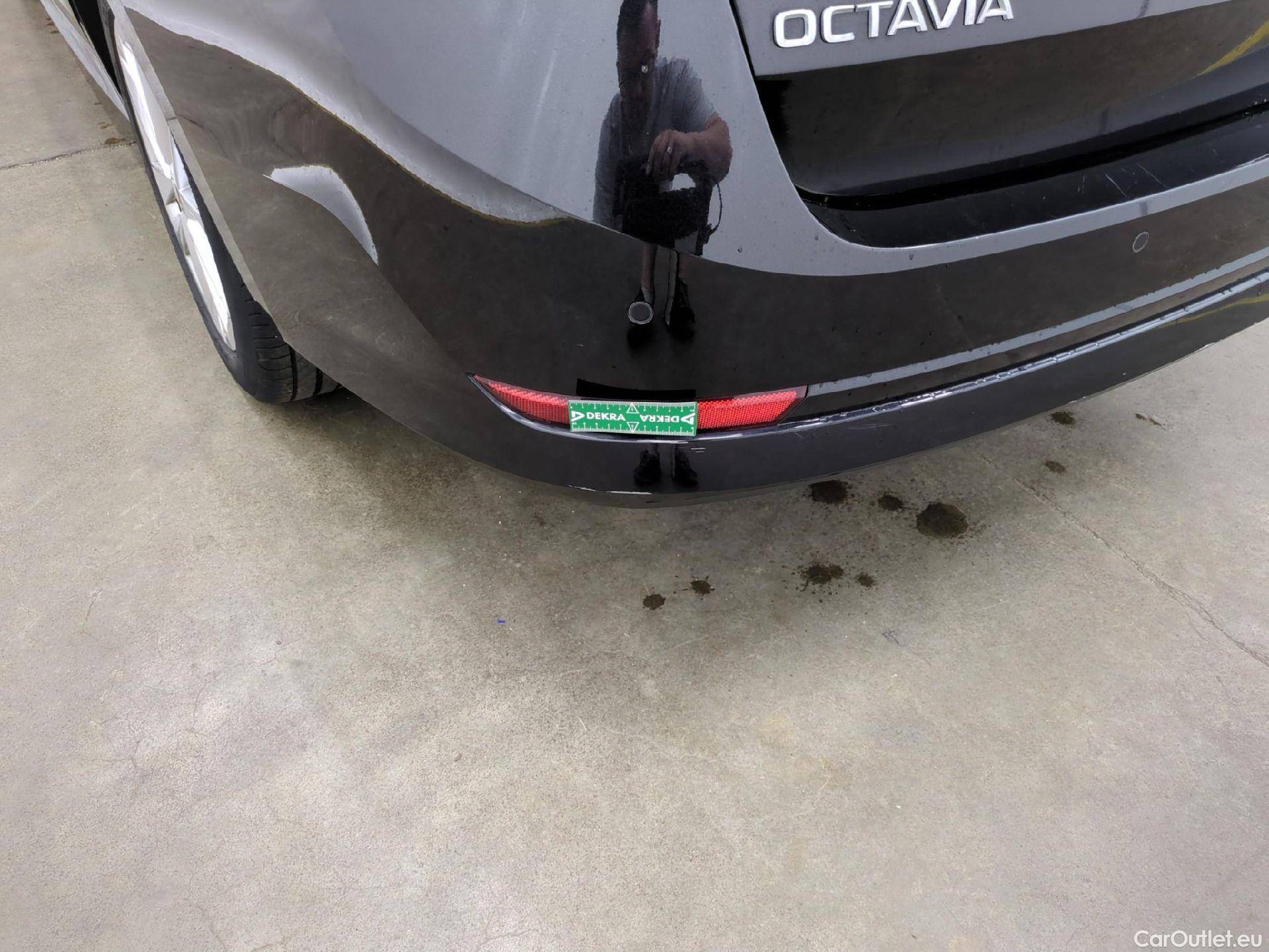  Skoda  Octavia  Combi Business 2.0 TDI 115CV BVM6 E6d #15