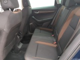  Skoda  Karoq  Scout 4x4 2.0 TDI 150CV BVA7 E6dT #11