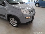  Fiat  Panda FIAT  / 2011 / 5P / BERLINA 1.0 FIREFLY 70CV SeS HYBRID CITY LIFE #22