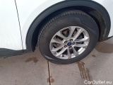  Ford  Kuga  Titanium 2.0 EcoBlue 190CV AT8 E6d #10