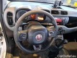  Fiat  Panda FIAT  / 2011 / 5P / BERLINA 1.0 70CV SeS HYBRID CITY LIFE #194