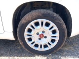  Fiat  Panda FIAT  / 2011 / 5P / BERLINA 1.2 69CV E6D-TEMP EASY #17