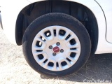  Fiat  Panda FIAT  / 2011 / 5P / BERLINA 1.2 69CV E6D-TEMP EASY #18
