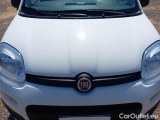  Fiat  Panda FIAT  / 2011 / 5P / BERLINA 1.2 69CV E6D-TEMP EASY #22