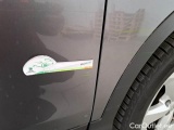  Nissan  Qashqai NISSAN  / 2017 / 5P / CROSSOVER 1.5 DCI 115 BUSINESS #77