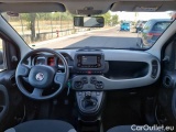 Fiat  Panda FIAT  / 2011 / 5P / BERLINA 1.0 FIREFLY 70CV SeS HYBRID CITY LIFE #3