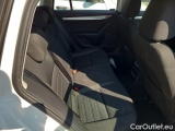  Skoda  Octavia  Combi  (5E5)(03.2017->)  Com TDI 110 Ambit. AT #11