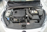  KIA  Cee'd ProCeed GT 1.6 T-GDI 150KW AT7 E6dT #45