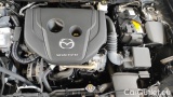  Mazda  CX-30 1.8L Skyactiv-D 116cv Evolve #15