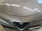  Alfa Romeo   STELVIO ALFA ROMEO / 2017 / 5P / SUV 2.2 TURBO D 160CV ROSSO EDIZIONE AT8 RWD #26